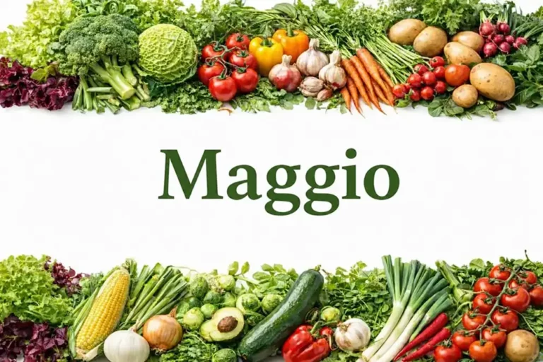 Maggio